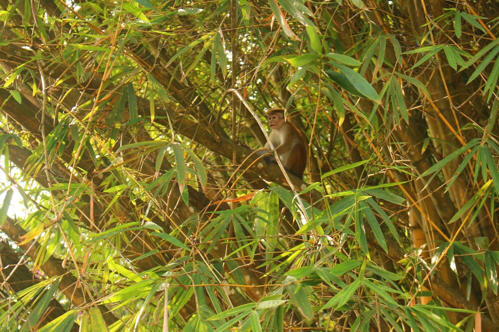 la villa guest house