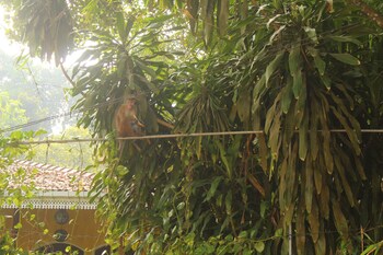 la villa guest house