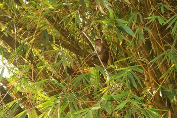 la villa guest house