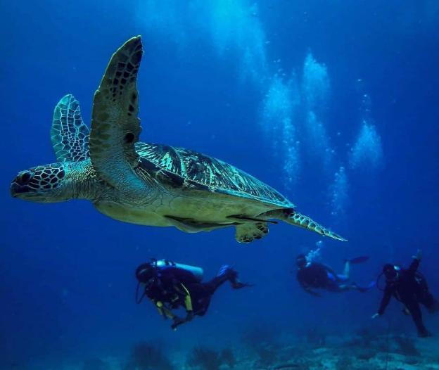 pulau perhentian kecil