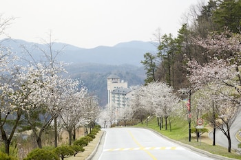 Oak Valley Resort,,4 star