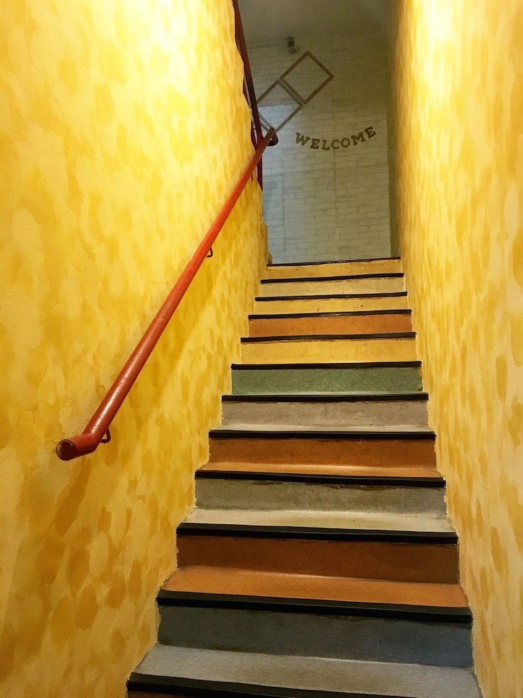 lavender guesthouse hostel