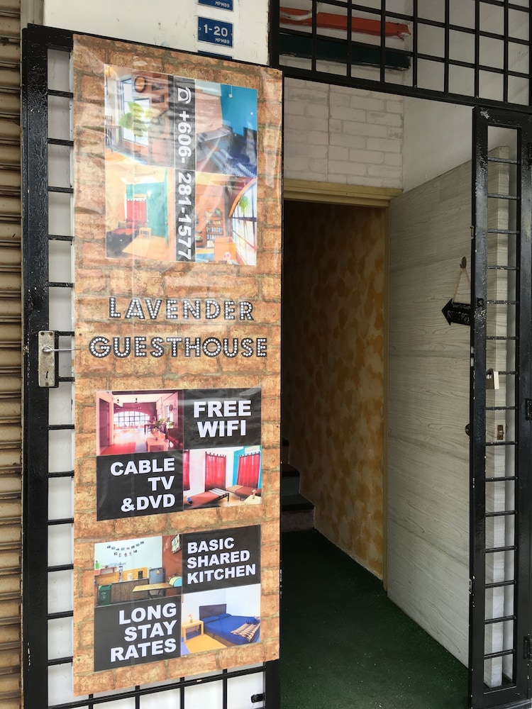 lavender guesthouse hostel