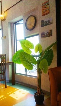 lavender guesthouse hostel