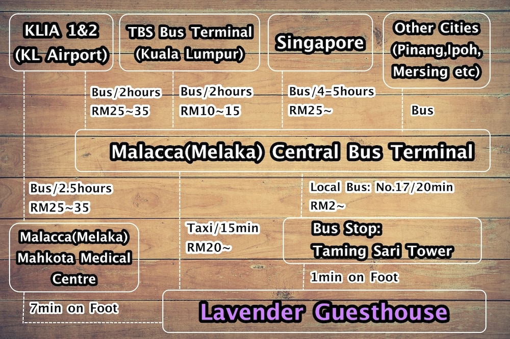 lavender guesthouse hostel