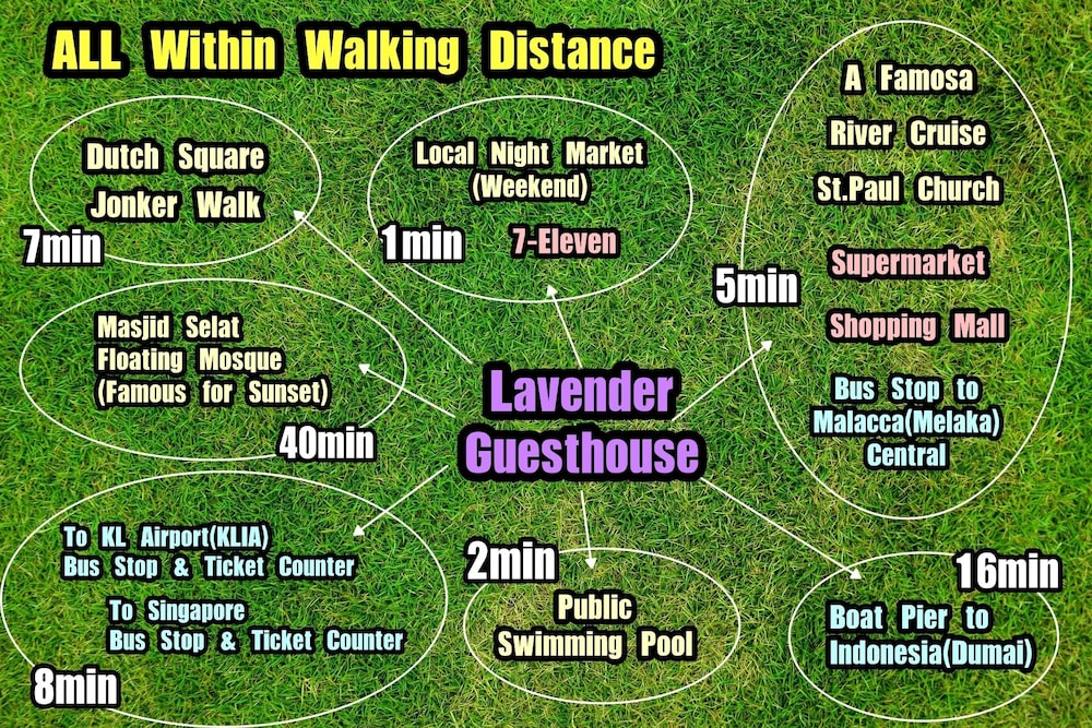 lavender guesthouse hostel