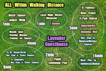 lavender guesthouse hostel