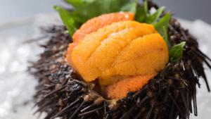 kyukamura rikuchu miyako