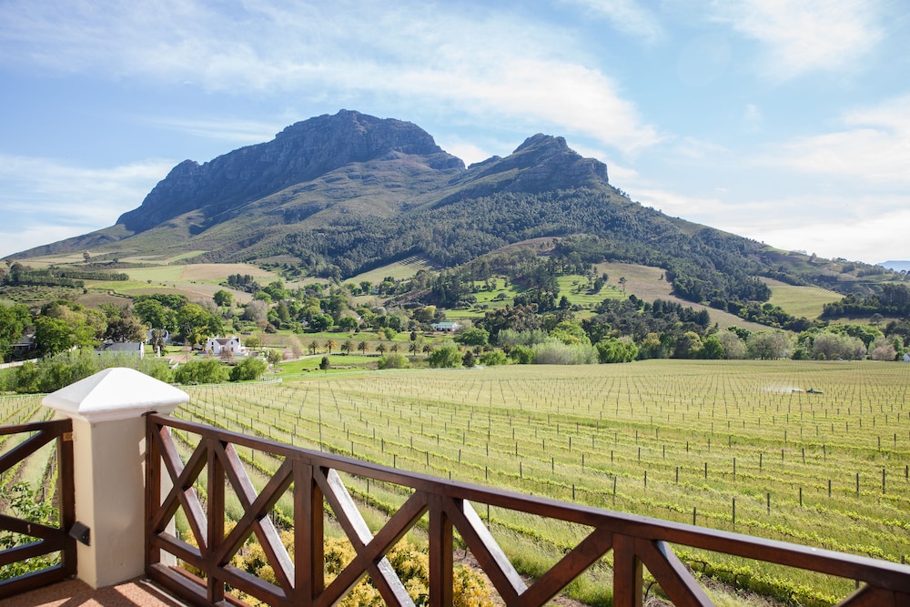 stellenbosch
