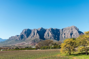 stellenbosch