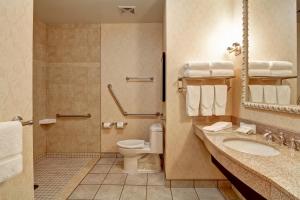 Hilton Garden Inn Ottawa Airport,Nepean>>Gloucester,3 star