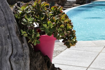 niriides homes and villas