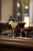 lord elgin hotel