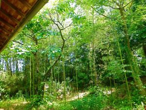 kominka sharehouse hooju hostel