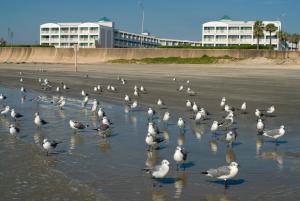 casa del mar beachfront suites