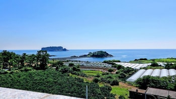 marine port resort