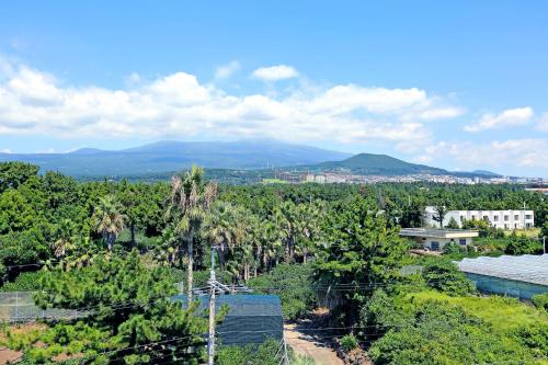 marine port resort
