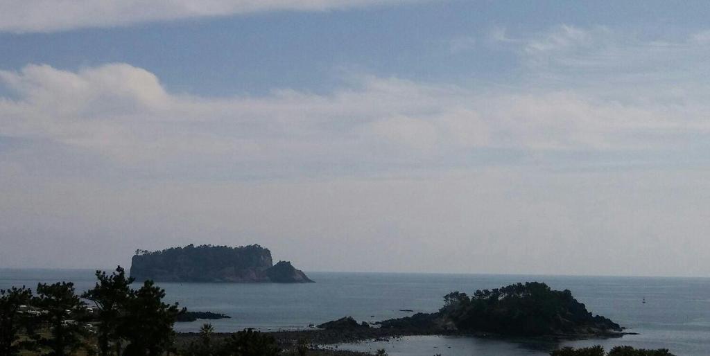 marine port resort