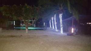 hotel la arena