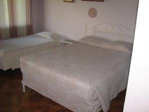 hotel la arena