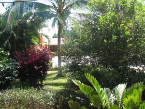 hotel la arena