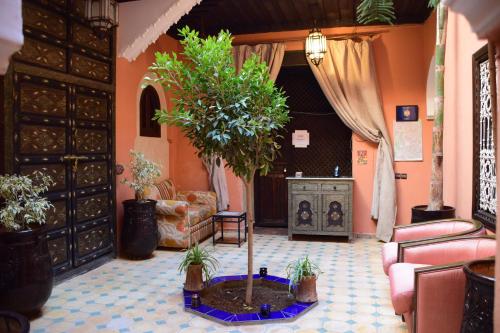 riad arjan