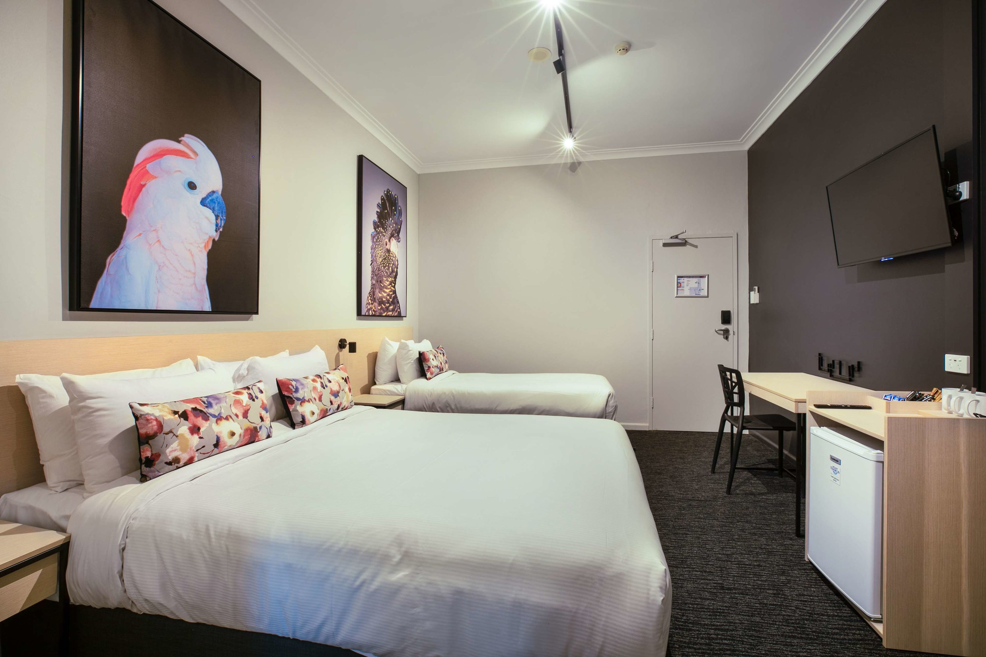 nightcap at the charles hotel