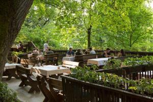 zepter hotel drina bajina basta member of zepter hotels