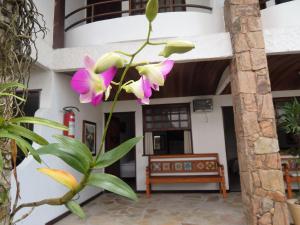 hotelare hotel brunello