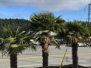 Buccaneer Inn,Vancouver>>Nanaimo,3 star