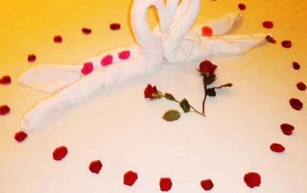 gingergrass homestay