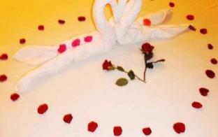 gingergrass homestay