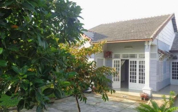 gingergrass homestay