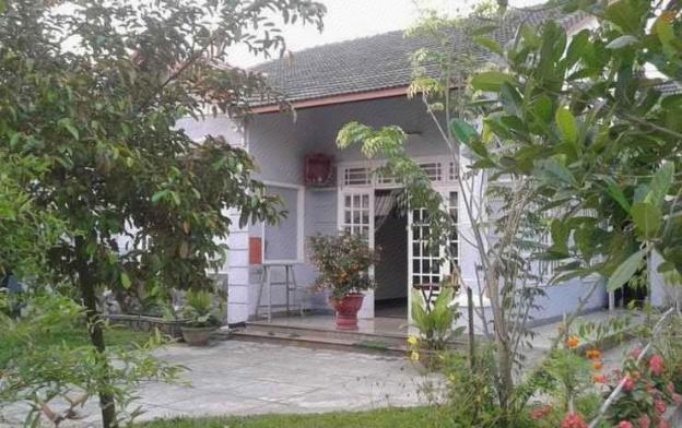 gingergrass homestay