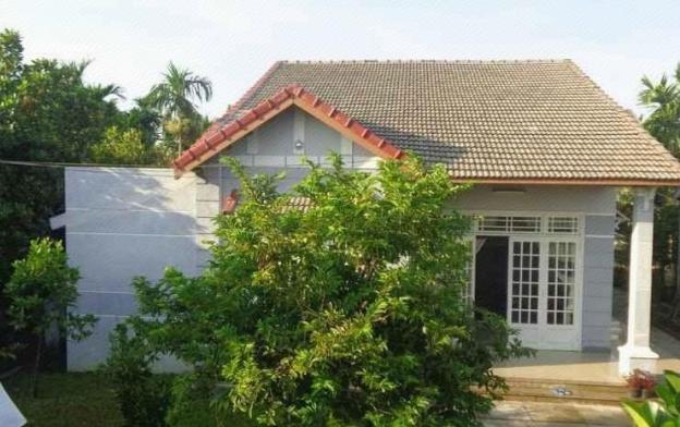 gingergrass homestay