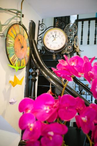 canary boutique hotel