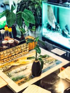 canary boutique hotel