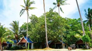 ko pha ngan