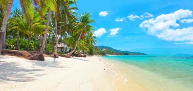 coffee island hostel