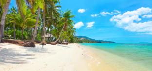 coffee island hostel