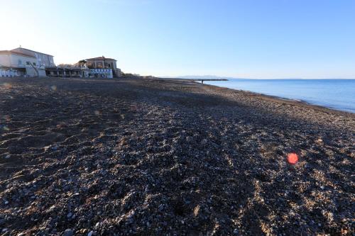 hotel cecina beach