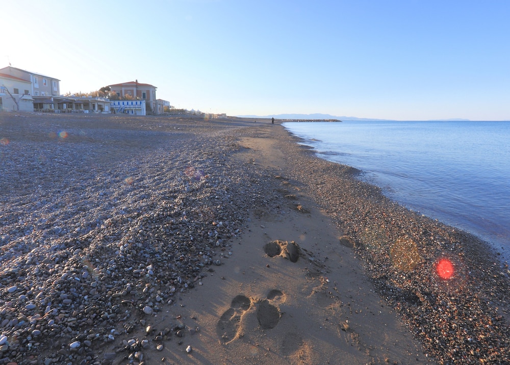 hotel cecina beach