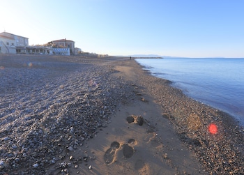 hotel cecina beach