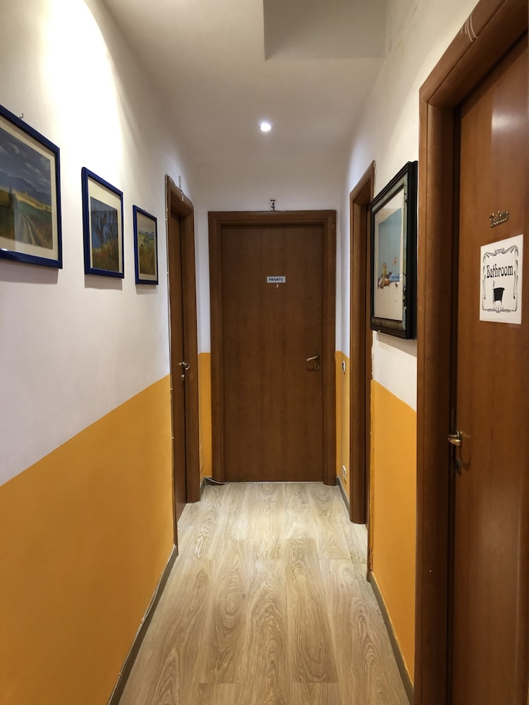 freedom traveller hostel