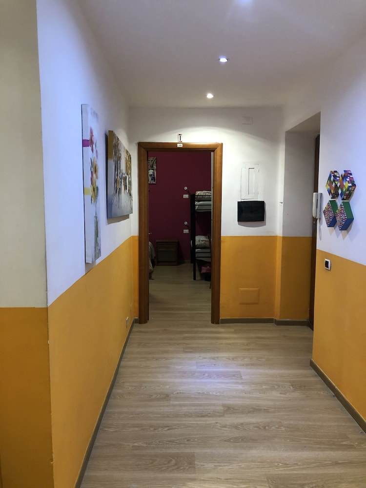 freedom traveller hostel
