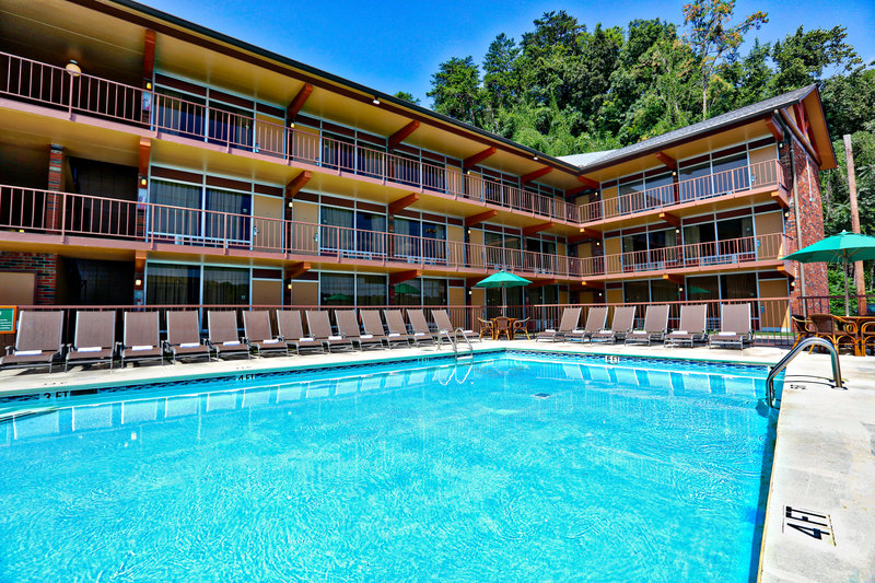 wild bear inn