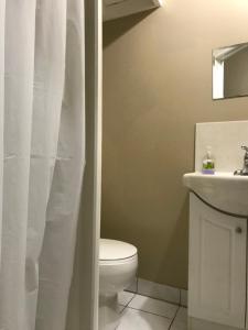 toronto travellers home