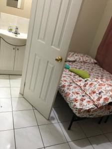 toronto travellers home