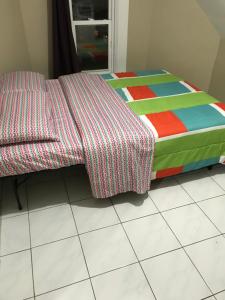 toronto travellers home