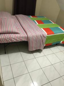 toronto travellers home